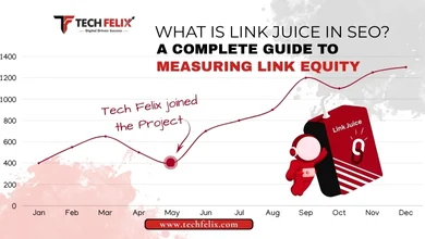Link Juice in SEO