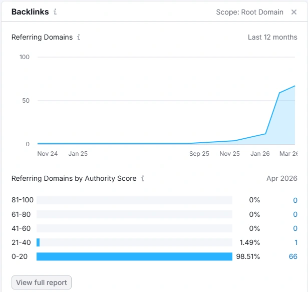 practicalai SEO growth results