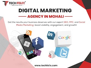 Tech Felix - SEO Company in India place picture